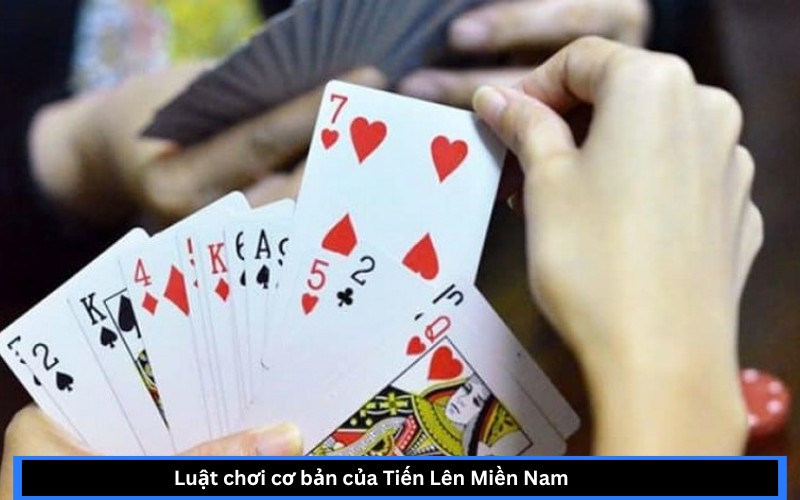 Luật chơi cơ bản của Tiến Lên Miền Nam